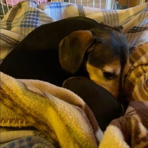 Meet your Posher, Heath